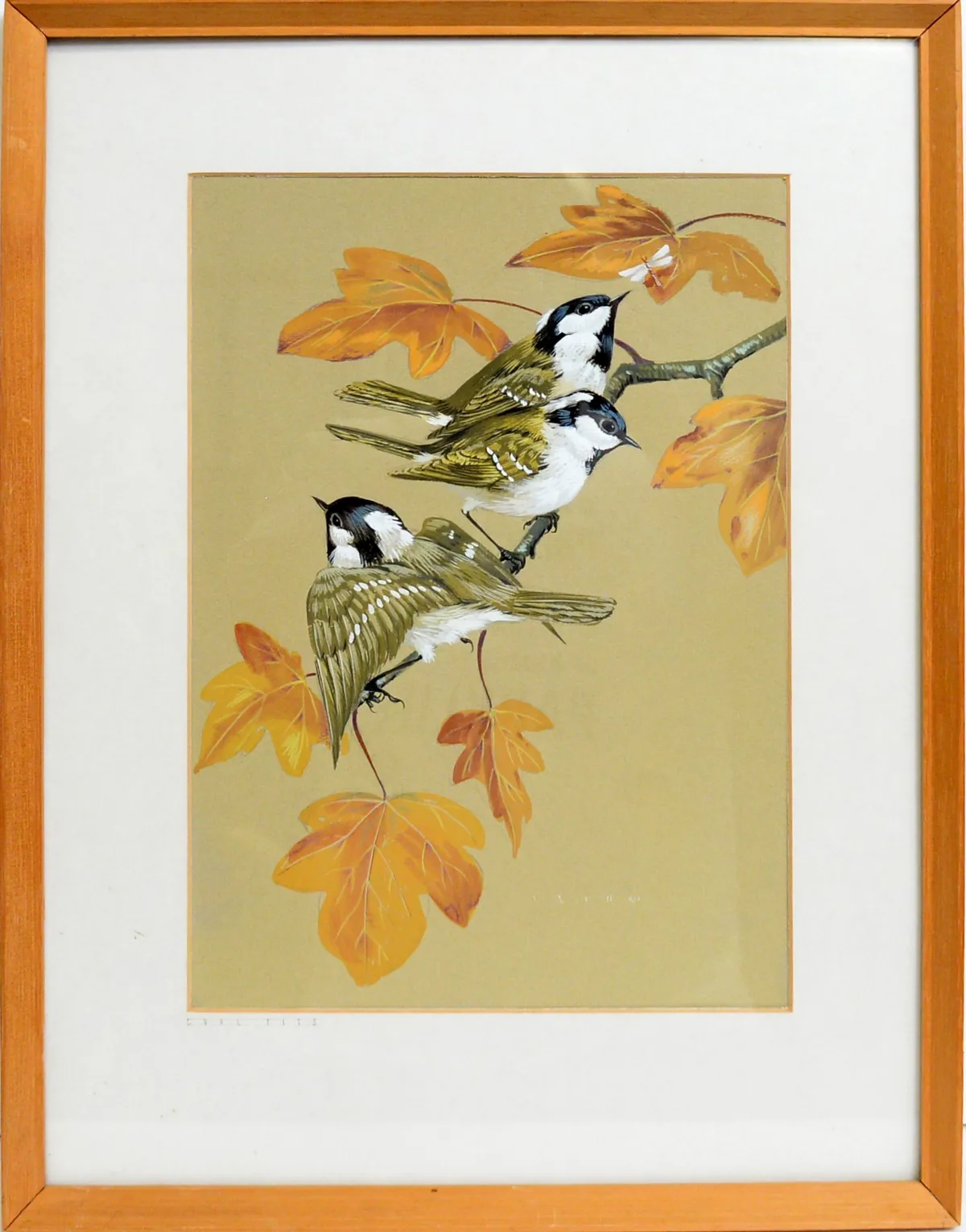 John Crank, Coal Tits, gouache on paper