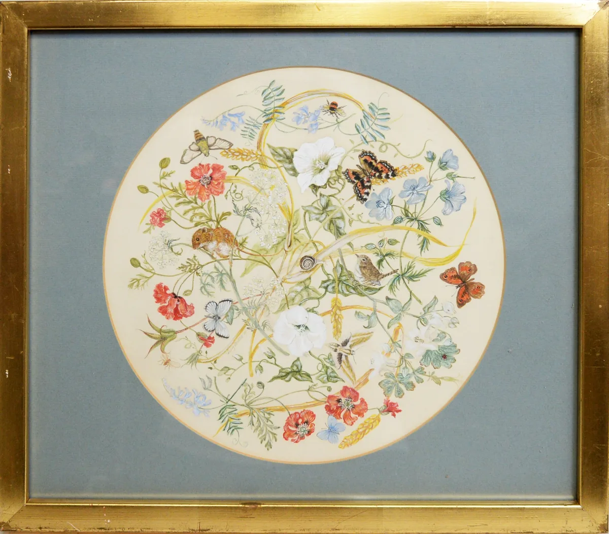 Lucy Stubbs, Meadow Entwined; Flora, Fauna, Insects, and Birds of the Countryside, watercolour