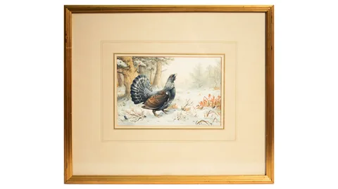 Carl Donner, Capercaillie Calling Out in a Winter Woodland, watercolour