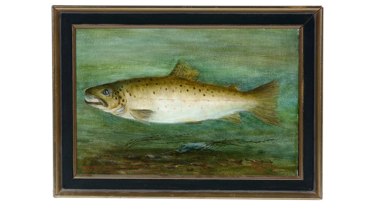 Peter Snell, Brown Trout Caught by Martin Snell, River Avon, 1974, oil on canvas