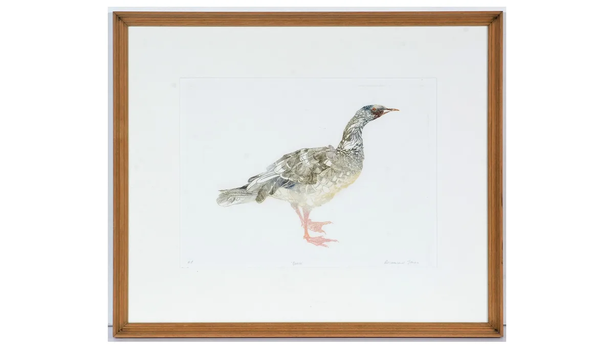 Rosamund Jones, Goose, artist's proof colour etching