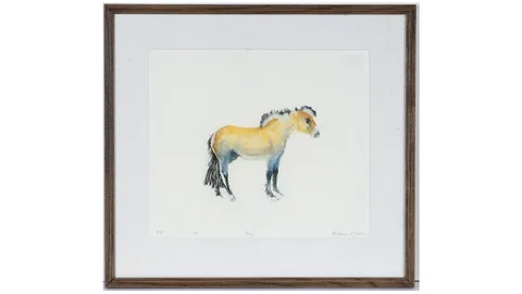 Rosamund Jones, Pony, artist's proof colour etching