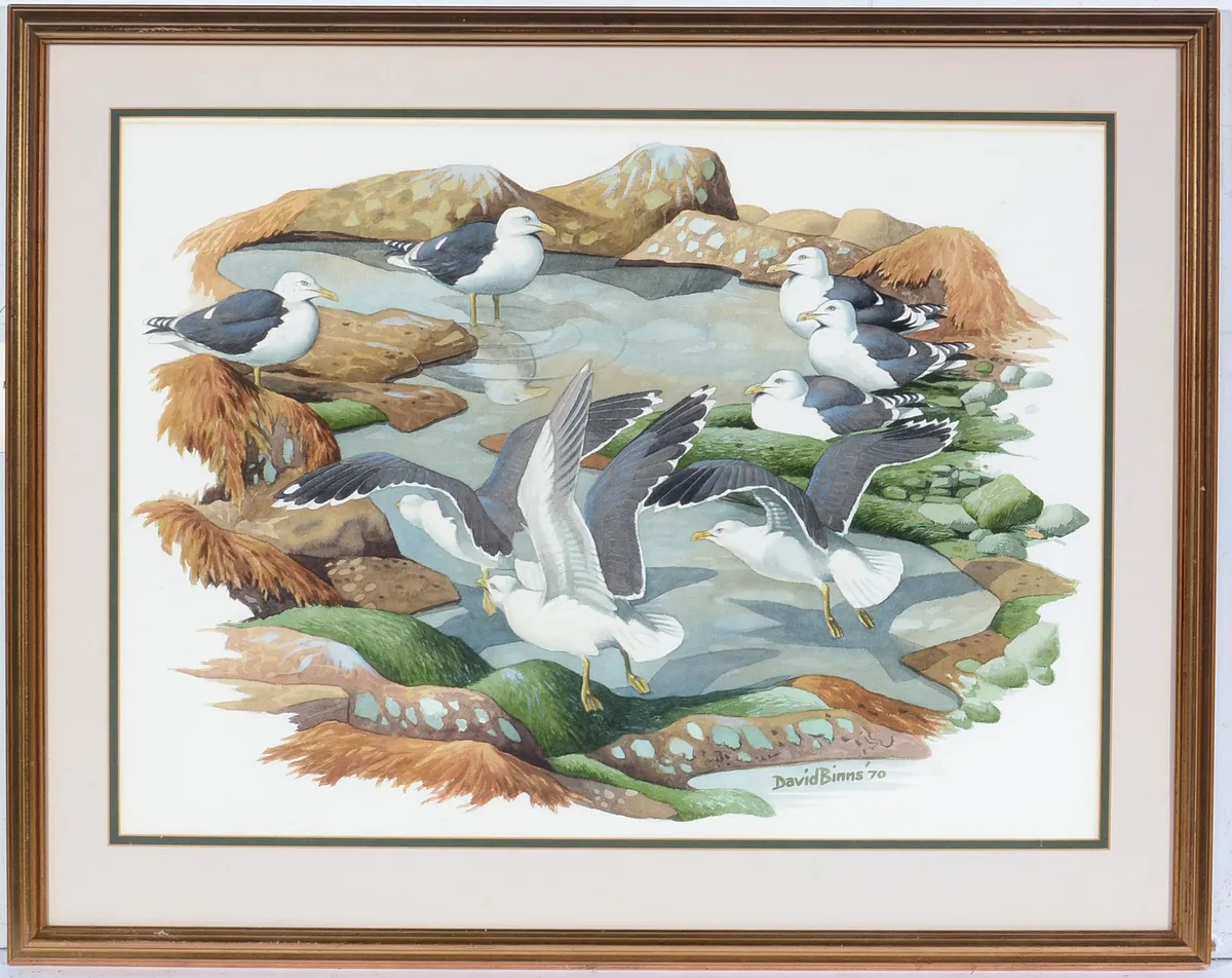 David Binns, Seagulls at a Rock Pool, watercolour