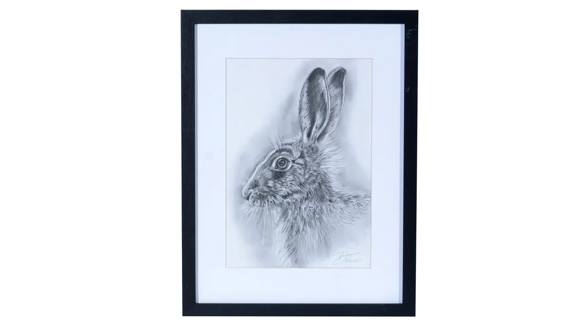 Darcey Trace, Portrait of a Hare, graphite on paper