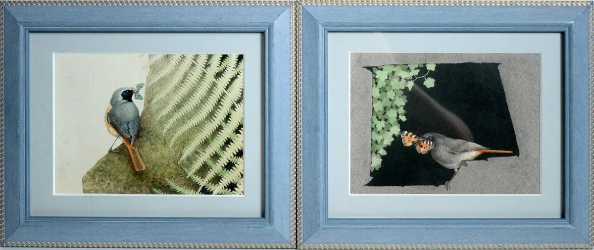 Alistair Robertson, Finches Catching Butterflies, watercolour