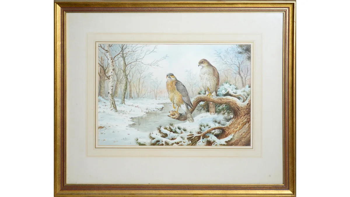 Carl Donner, Midwinter Falcons, watercolour