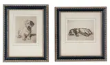 Cecil Aldin, Two Dog Portraits