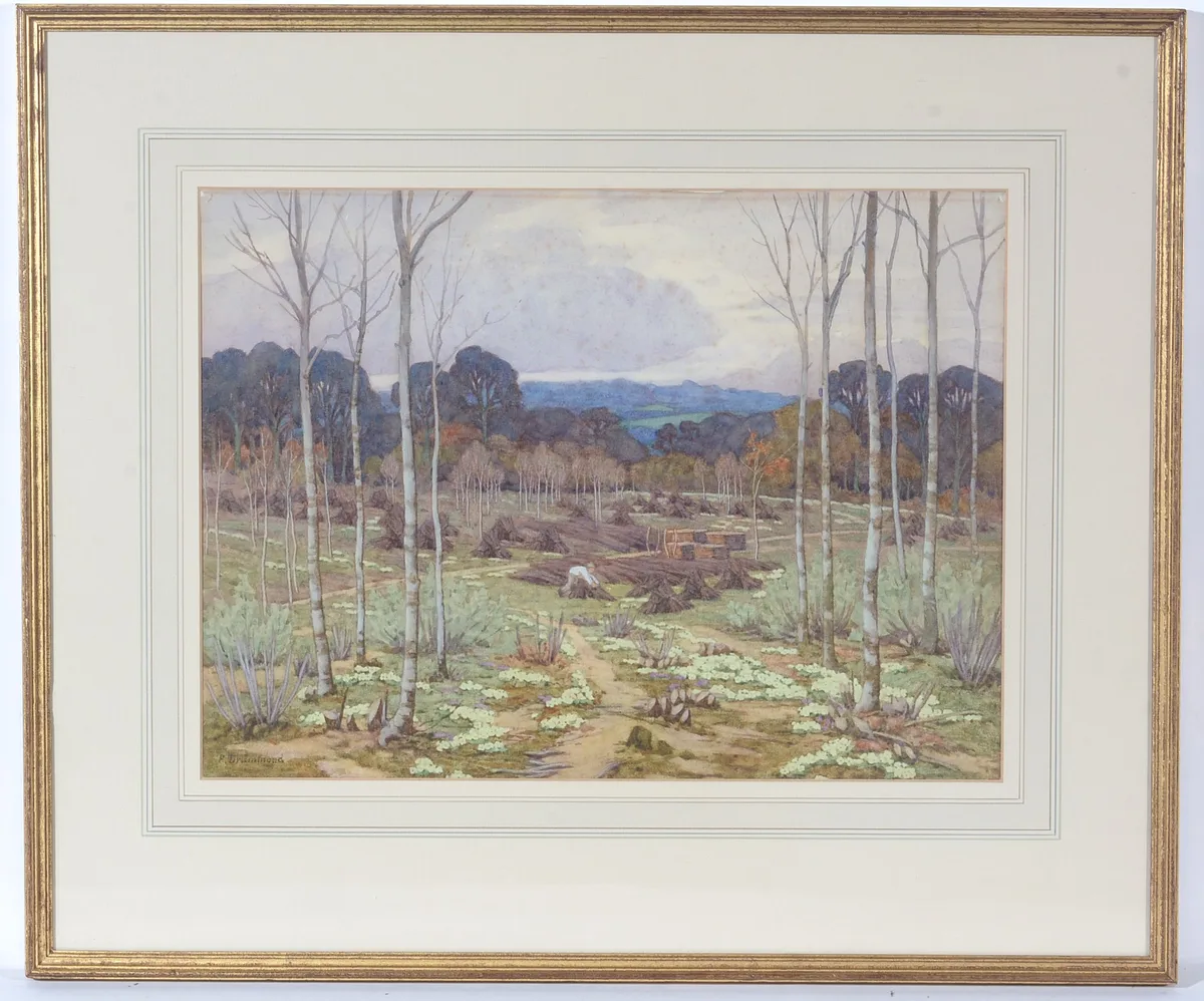 Frances Drummond, Sping Clearing in the Wood with Yellow Primroses in Bloom, watercolour