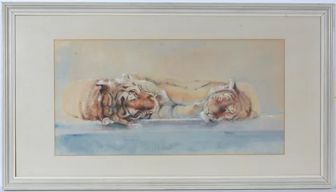 Matt Bruce, Slumbering Tigers, watercolour