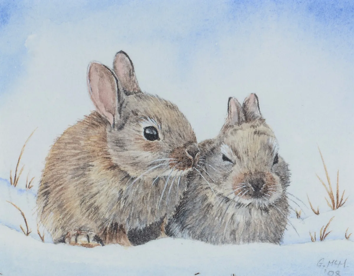 Gillian McMurray, Snow Bunnies, watercolour
