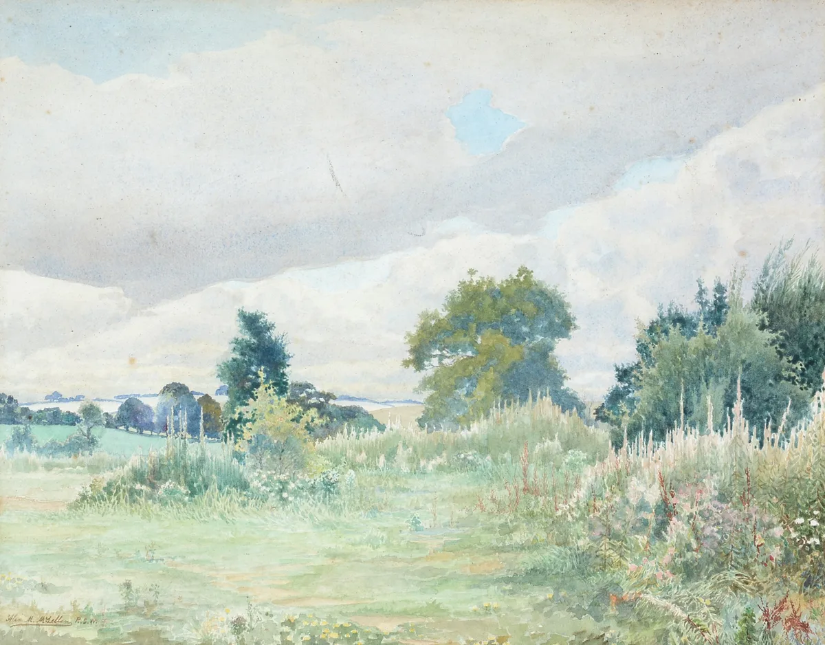 Alexander Matheson McLellan, Wildflower Meadow, watercolour