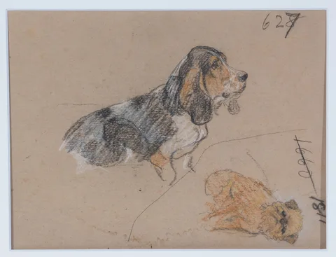 George Vernon Stokes, Dog Character Studies, pastel and charcoal on natural paper