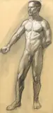 Mark Beard, Male Nude with Arm Stretched Out, Full Figure (MB 022), 1993, charcoal and conté crayon on paper