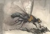 T. Lux Feininger, Insect