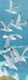 Douglas Allen, Seagulls, gouache on board