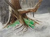 George Alexis Weymouth, Spring Storm Renewal, 2013, tempera on white foamboard