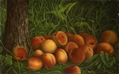 Levi Wells Prentice, Peaches, 1884, oil on canvas