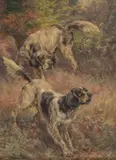 Edmund Henry Osthaus, Setters, watercolor on paper
