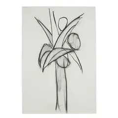 Judith Cotton, Study of a Palm, 1985, charcoal on paper