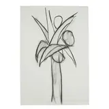 Judith Cotton, Study of a Palm, 1985, charcoal on paper