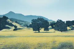 Sam Racina, Knight's Valley, Sonoma County, oil on canvas