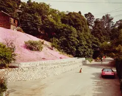 'Rustic Canyon, Santa Monica, California' by Joel Sternfeld, 1979, Chromogenic print, sold Dec 2023
