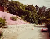 Joel Sternfeld, 'Rustic Canyon, Santa Monica, California', 1979, Chromogenic print