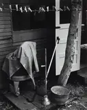 Brett Weston, 'Back Yard' (Santa Monica) (from '100 Prints' portfolio)
