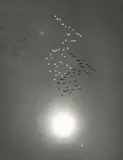 William Garnett, Snow Geese in Flight with Reflection of the Sun over Buena Vista Lake, California, 1953, Gelatin silver print; mounted to Hi-Art illustration board