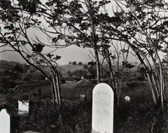 Cemetery with Wild Trees, Hornitos, California by Brett Weston, 1955, Oversized gelatin silver print, offered Dec 2023