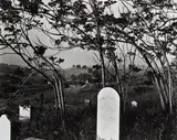 Brett Weston, Cemetery with Wild Trees, Hornitos, California