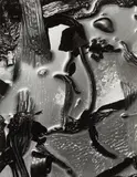 Brett Weston, Tide Pool, Point Lobos, Carmel Beach, California
