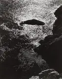 Edward Weston, Kelp, China Cove, Point Lobos