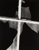 Brett Weston, Broken Glass