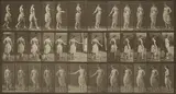 Eadweard Muybridge, Plate 53 from 'Animal Locomotion', 1887, Collotype