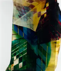 Mariah Robertson, 42, 2010, Unique chromogenic print; framed