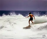 LeRoy Grannis, 'Tom Morey, Malibu'