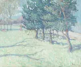 Rinaldo Cuneo, Belview, France