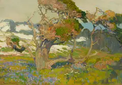 Franz Bischoff, Gnarled Old Pine and Spring Flora, oil on canvas