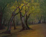 John Marshall Gamble, Cañón Glade (Soft Maples)