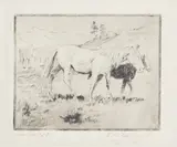 Elling William "Bill" Gollings, Mare and Colt, 1927, Etching on laid paper