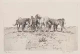 Elling William "Bill" Gollings, Fly Time, 1928, Etching on wove paper with PM watermark