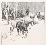 Elling William "Bill" Gollings, Three Horses near Tipis