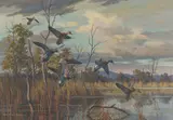 Harry Curieux Adamson, Ducks Landing on a Pond, oil on canvas