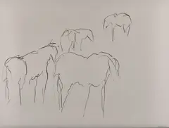 Theodore Waddell, Four Horses, pencil on paper