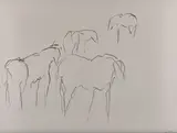 Theodore Waddell, Four Horses, pencil on paper