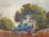 Percy Gray, Oaks Among the Rocks, watercolor on paper