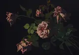 Alice Brown Chittenden, Still Life with Roses, oil on lacquered panel