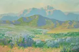Maurice Braun, Valley with Wildflowers, oil on canvas