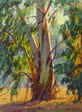 Paul Grimm, Eucalyptus Landscapes (a group of two), first signed 'Paul Grimm' (lower left), second signed 'Paul Grimm' (lower right) and signed again and dated '-1940' (on the reverse)